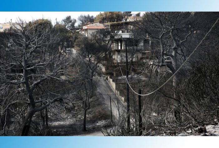 Число жертв лесных пожаров в Греции возросло до 91