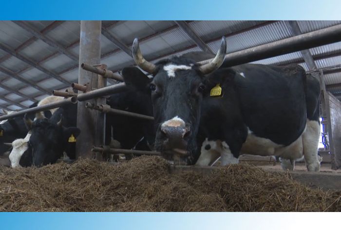 Народные избранники посетили молочную ферму