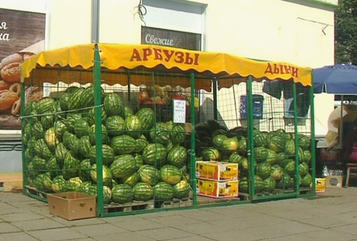 Начался долгожданный сезон арбузов