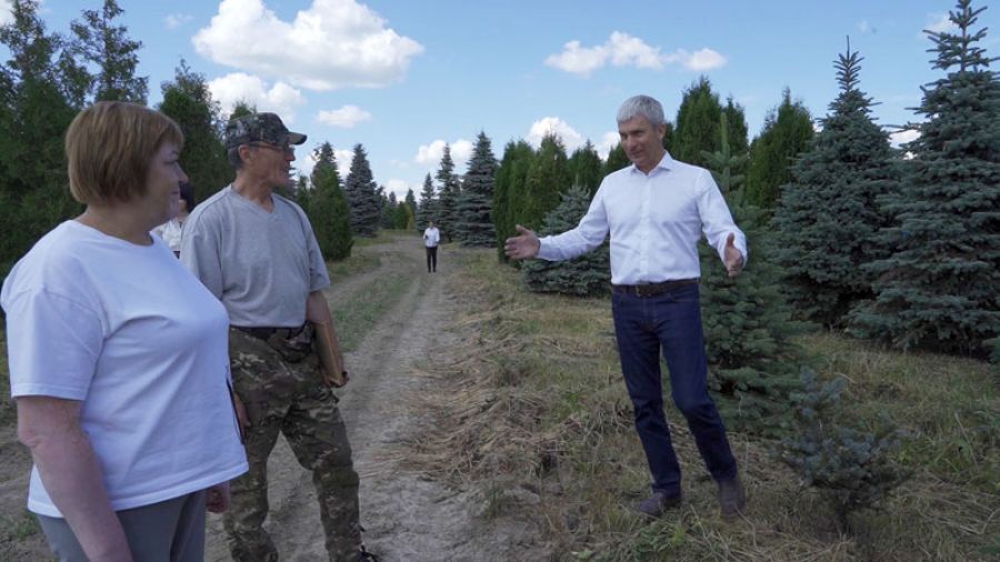 &laquo;Богородская Нива&raquo; &mdash; единственный в своём роде питомник по качеству и запасу крупномерных хвойных деревьев