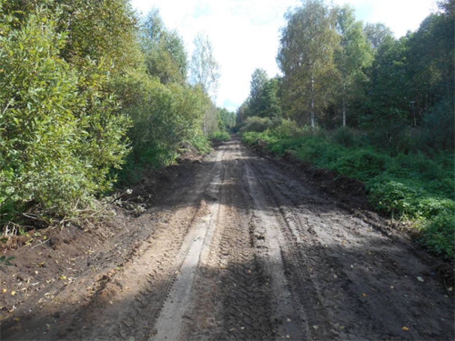 Лесные дороги в Торгашинском лесничестве обустроили для защиты от пожаров