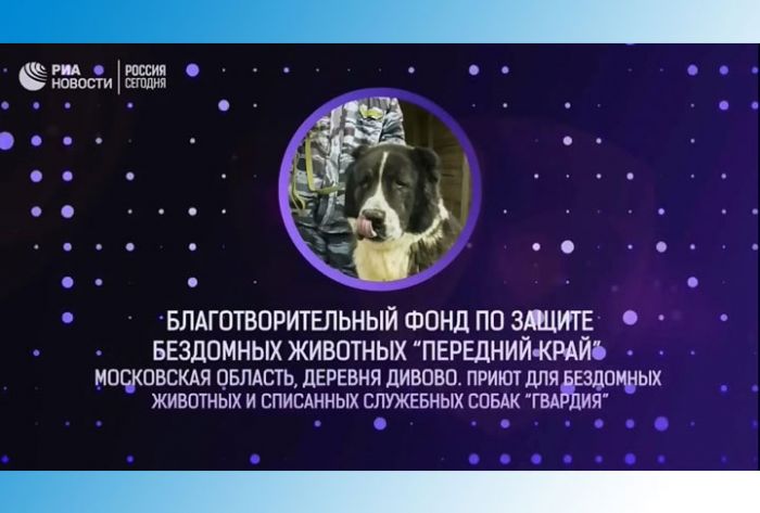 Церемония награждения &laquo;Доброволец России - 2018&raquo;