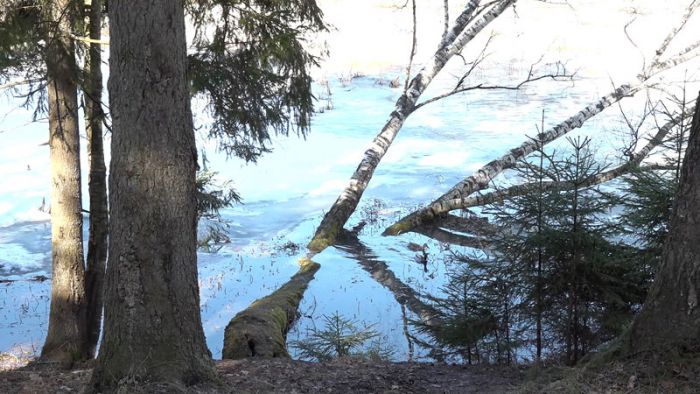 &laquo;День города&raquo; за 6 апреля 2026 г.