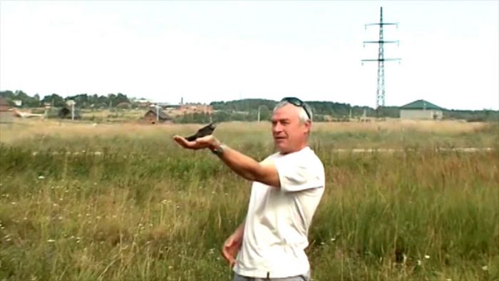 «День города» за 30 сентября 2025 г.