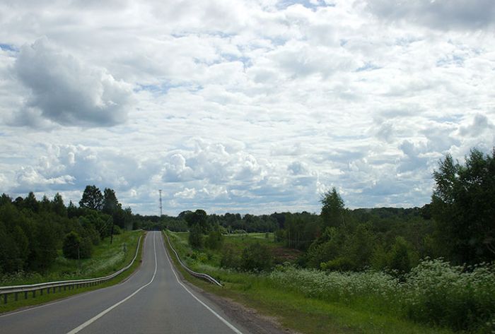 Жителей Подмосковья предупредили о заморозках