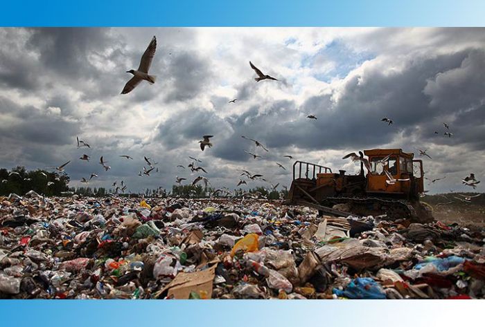 Власти Тверской области отказались принимать мусор из Москвы