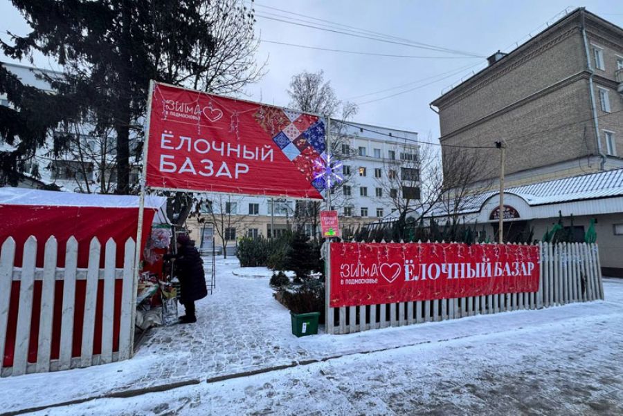 В Сергиево-Посадском округе открылись шесть ёлочных базаров