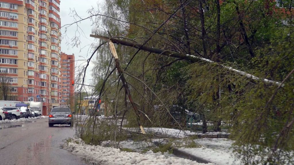 «День города» за 2 мая 2025 г.