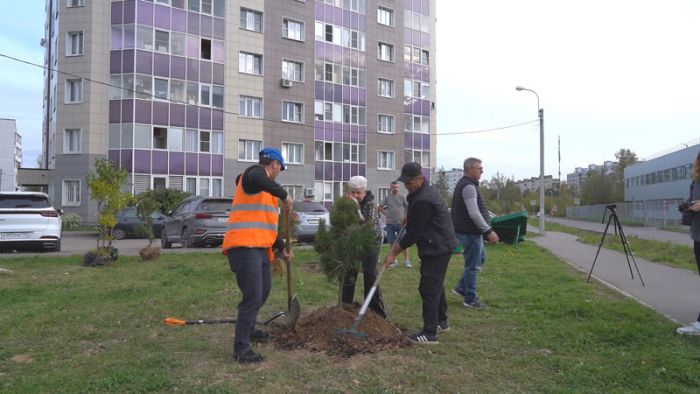 Придомовую территорию на Владимирской улице привели в порядок