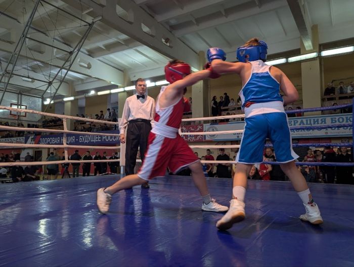 Турнир по боксу на Кубок &laquo;Единой России&raquo;