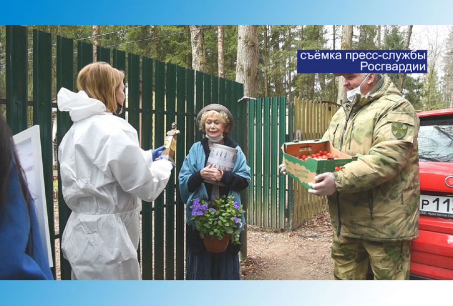 Необычные гости Светланы Немоляевой