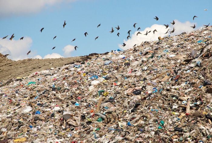 Эколог и мастер полигона &laquo;Кучино&raquo; пойдут под суд