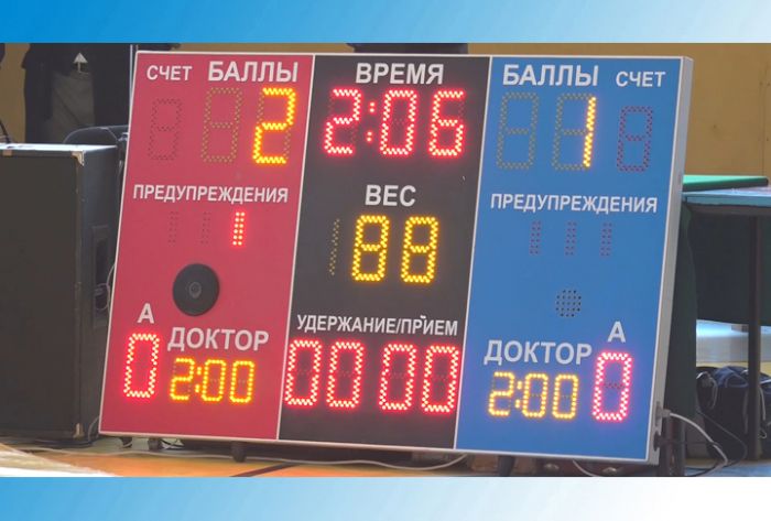 Чемпионат МО по боевому самбо прошёл в СК &laquo;Луч&raquo;