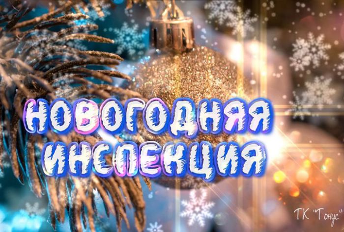 &laquo;Новогодняя инспекция 2020&raquo;