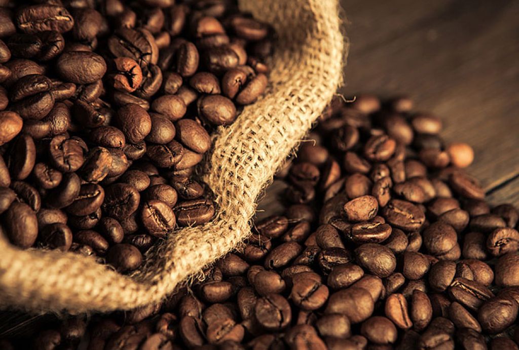 В Подмосковье начнут делать самый дорогой в мире кофе