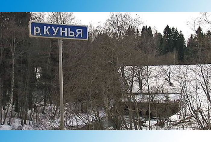Реку Кунью проверят на химикалии