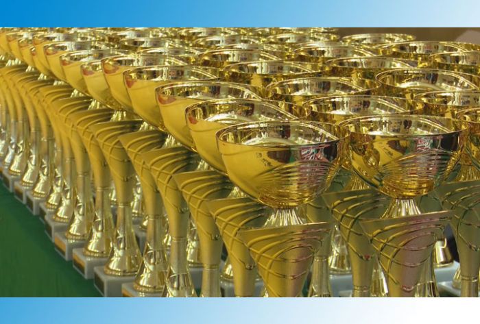 III открытый турнир по греко-римской борьбе прошёл в СК &laquo;Луч&raquo;