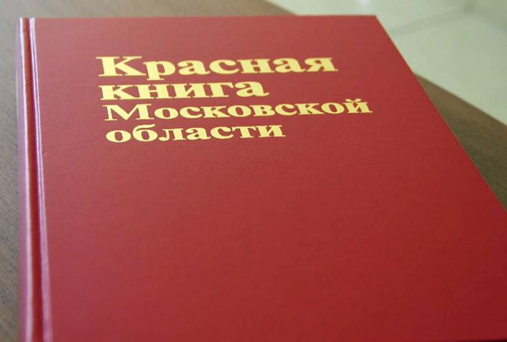 В новое издание Красной книги Московской области войдут 674 вида