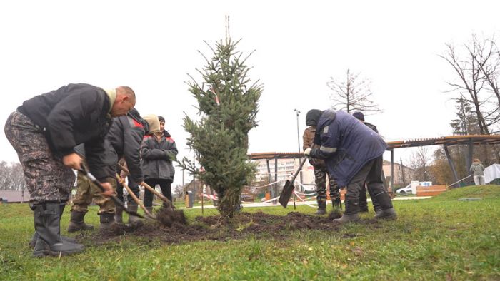 Озеленение Сергиево-Посадского округа продолжается