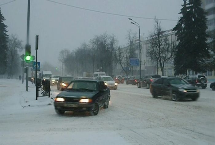 Сильный снегопад накрыл Московскую область