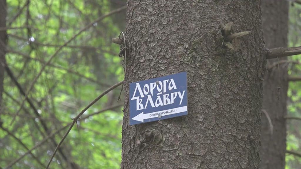 &laquo;День города&raquo; за 9 июня 2026 г.