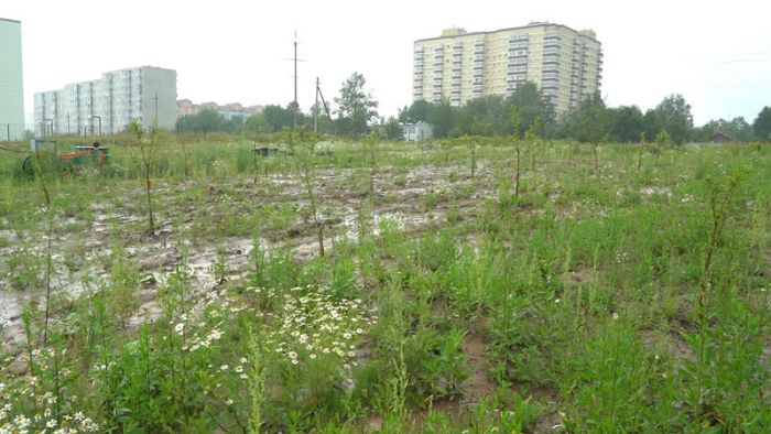 «День города» за 7 августа 2025 г.