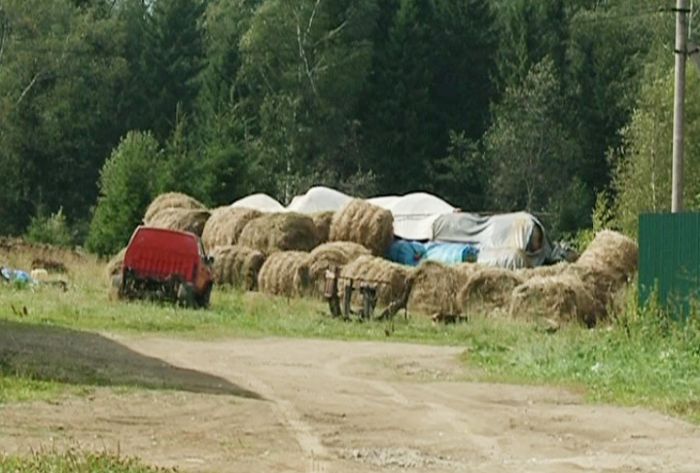 В Сергиево-Посадском районе развивается экотуризм