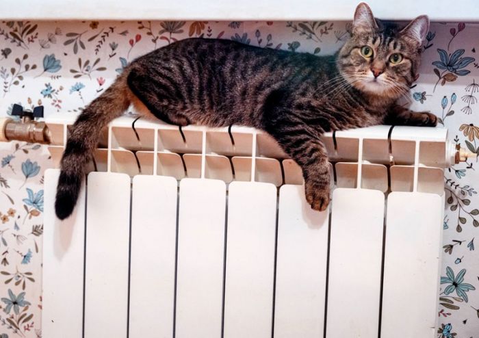 С понедельника начнут подавать тепло в социальные объекты