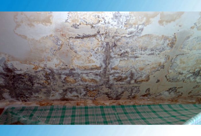 В доме №8 по улице Дружбы из розеток течёт вода