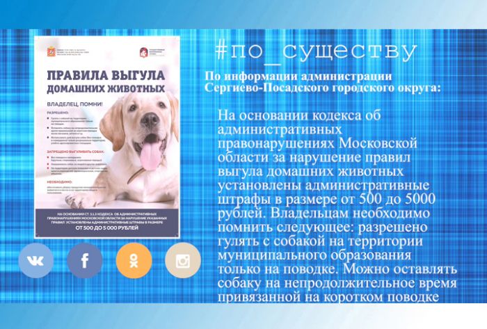 По существу. Правила выгула собак